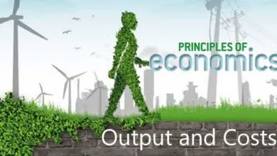 Trắc nghiệm Sản lượng và chi phí