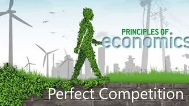 Trắc nghiệm thị trường cạnh tranh hoàn hảo