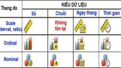 Các loại thang đo trong phân tích dữ liệu