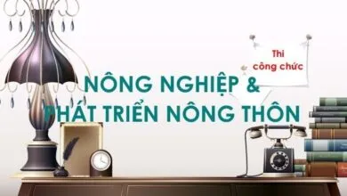 Bộ đề thi công chức năm 2013 - ngành nông nghiệp và phát triển nông thôn