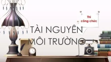Bộ đề thi công chức năm 2013 - Sở TNMT