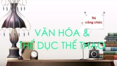 Bộ đề thi công chức năm 2013 - Sở VHTDTT