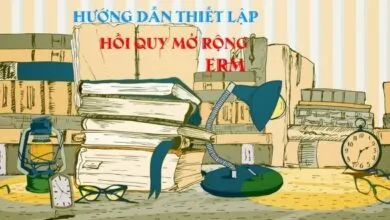 Các mô hình hồi quy mở rộng ERM cho phép thực hiện các hồi quy tuyến tính, hồi quy probit... khi dữ liệu có các vấn đề về nội sinh, chọn mẫu..