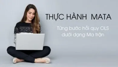 Thực hành Mata - hướng dẫn từng bước hồi quy OLS qua tính toán ma trận trong Mata