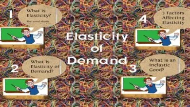 Làm thế nào để tính độ co dãn của hàm cầu trong các mô hình log-log, lin-lin, log-lin, lin-log? Có bao nhiêu công thức tính độ co dãn của hàm cầu tiêu dùng?