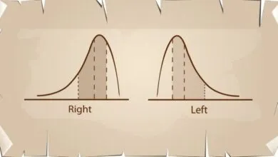 Tính năng mở rộng của lệnh xtdpdml trên Stata