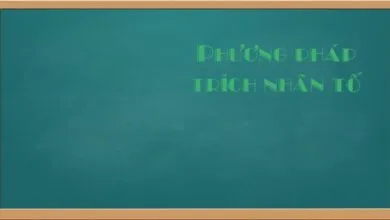 Lựa chọn phương pháp trích nhân tố