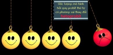 Cách xử lý phương sai thay đổi ở mô hình hồi quy probit thứ tự bằng lệnh hetoprobit ở Stata 16
