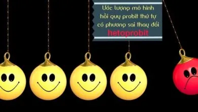 Cách xử lý phương sai thay đổi ở mô hình hồi quy probit thứ tự bằng lệnh hetoprobit ở Stata 16