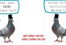 Mô hình VECM được ước lượng chính xác từ giá trị hạng được xác lập theo Johansen (1995), và độ trễ tối ưu của các biến được lựa chọn thông qua AIC, BIC, SC.