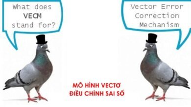 Mô hình VECM được ước lượng chính xác từ giá trị hạng được xác lập theo Johansen (1995), và độ trễ tối ưu của các biến được lựa chọn thông qua AIC, BIC, SC.