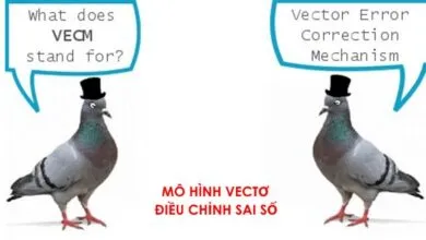 Mô hình VECM được ước lượng chính xác từ giá trị hạng được xác lập theo Johansen (1995), và độ trễ tối ưu của các biến được lựa chọn thông qua AIC, BIC, SC.