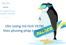 Mô hình VECM sử dụng thay thế vector tự hồi quy (VAR) khi các biến có mối quan hệ đồng kết hợp bằng cách dùng phương pháp hợp lý cực đại của Johansen (1995)