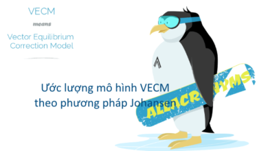 Mô hình VECM sử dụng thay thế vector tự hồi quy (VAR) khi các biến có mối quan hệ đồng kết hợp bằng cách dùng phương pháp hợp lý cực đại của Johansen (1995)