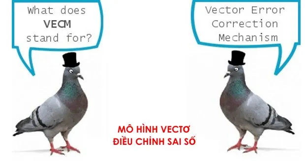 Mô hình VECM được ước lượng chính xác từ giá trị hạng được xác lập theo Johansen (1995), và độ trễ tối ưu của các biến được lựa chọn thông qua AIC, BIC, SC.