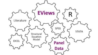 Ví dụ ước lượng dữ liệu bảng trên Eviews từ nhập số liệu, khai báo dữ liệu bảng, ước lượng OLS, Fixed Effects, Random effects và lựa chọn OLS - FE, FE - RE.
