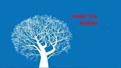 Ước lượng các mối quan hệ sử dụng phân tích nhánh