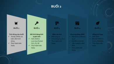 Hướng dẫn thực hiện ước lượng, kiểm định và lựa chọn mô hình FEM, REM trên Stata