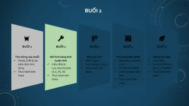 Hướng dẫn thực hiện ước lượng, kiểm định và lựa chọn mô hình FEM, REM trên Stata