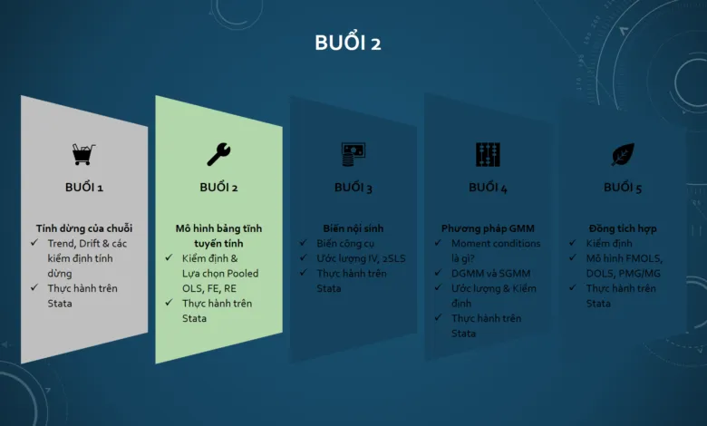 Hướng dẫn thực hiện ước lượng, kiểm định và lựa chọn mô hình FEM, REM trên Stata