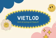 Chuyên đề kinh tế lượng